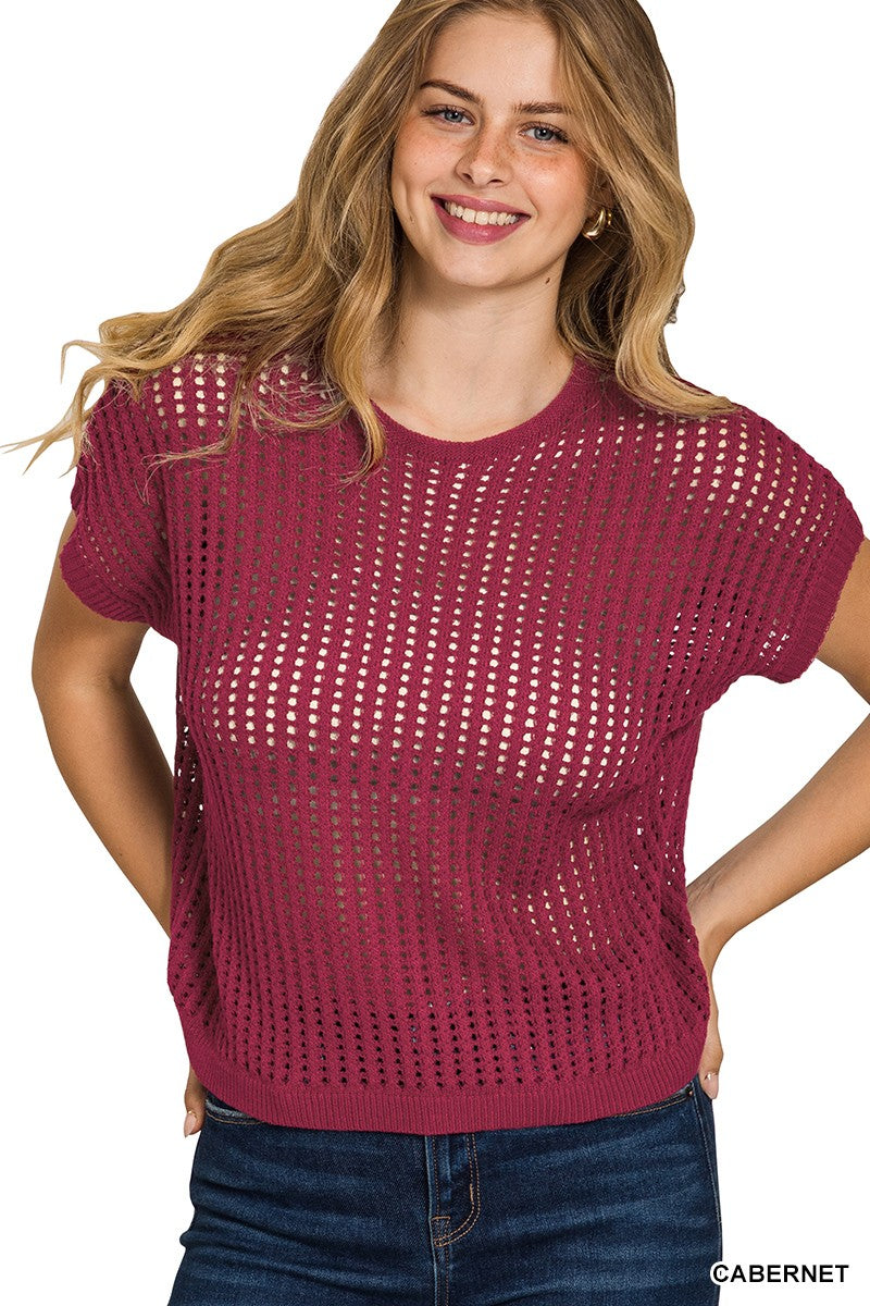 Sheer Hollow Sweater