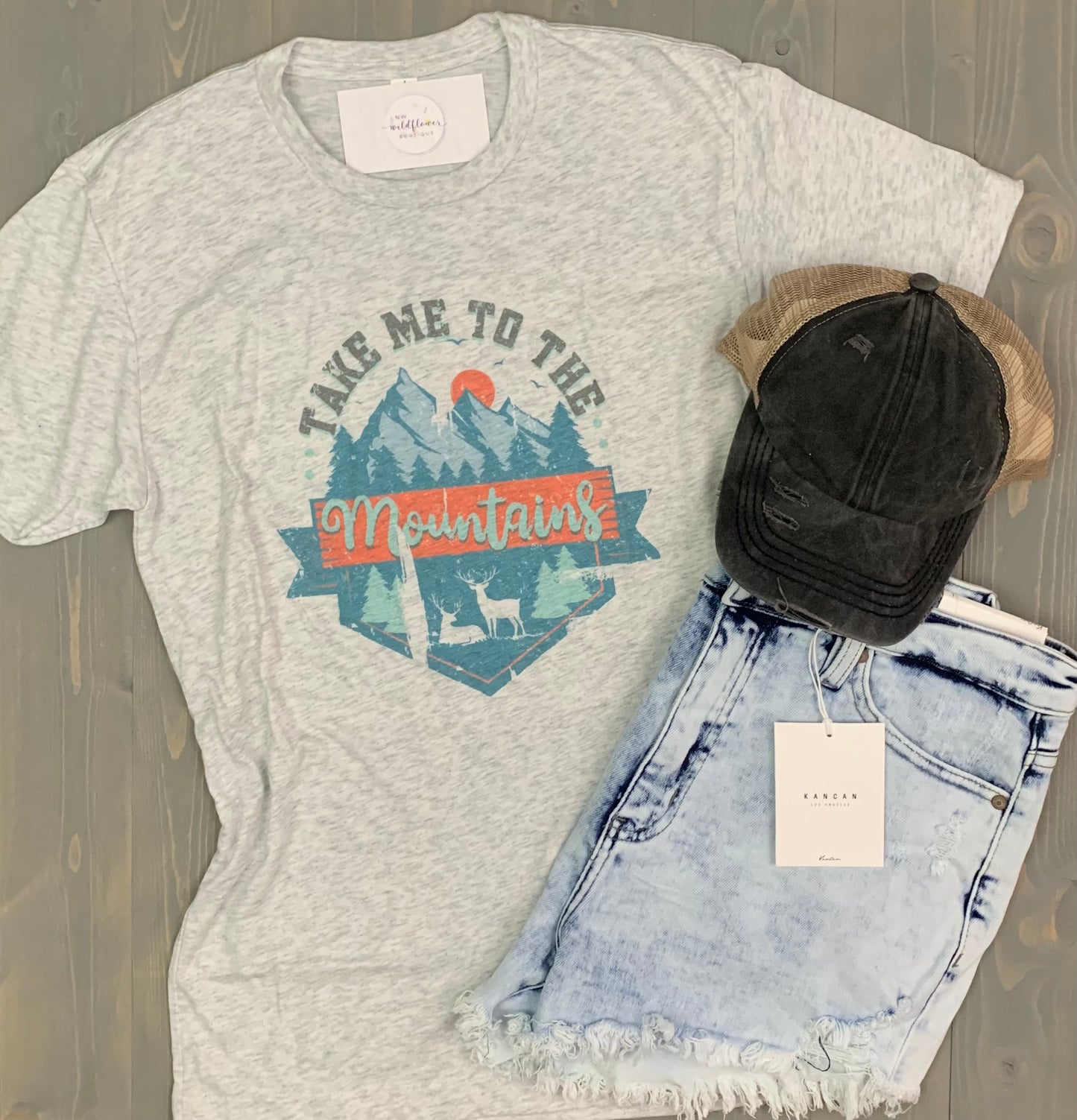 Take Me To The Mountains Graphic Tee
