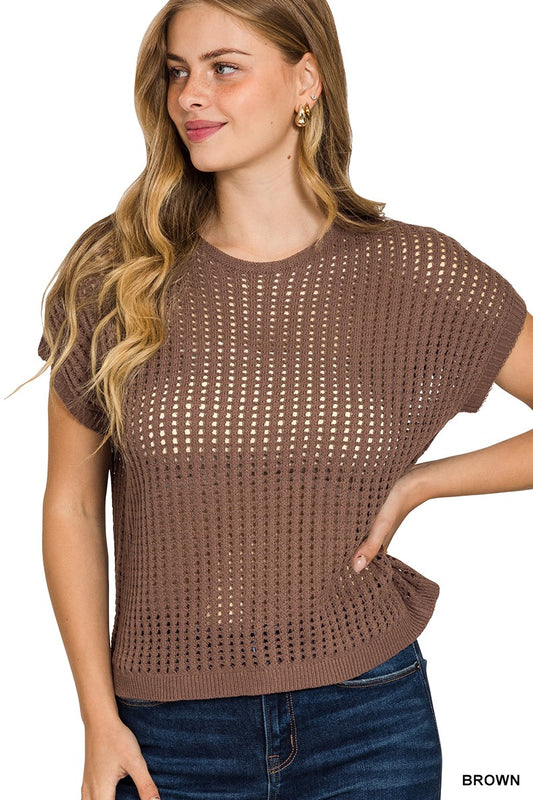 Sheer Hollow Sweater