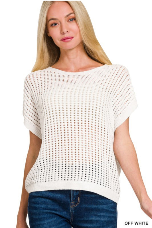 Sheer Hollow Sweater