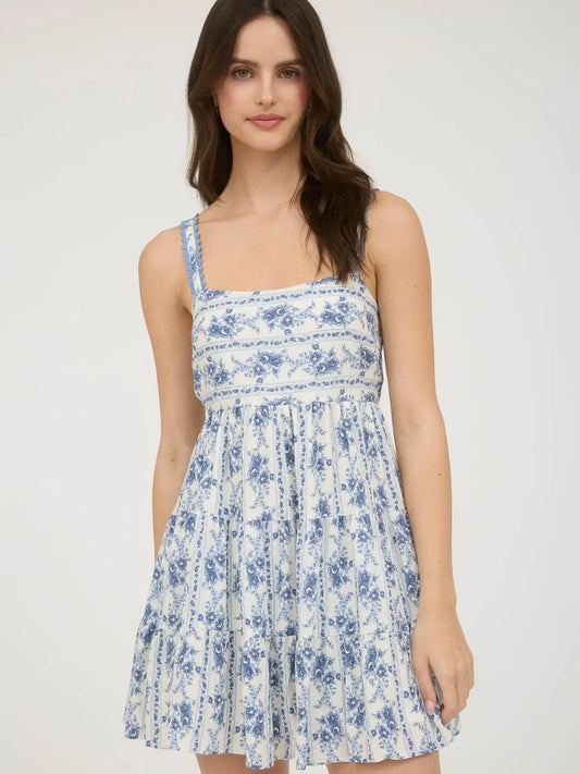 Blue Stripe Floral Mini Dress
